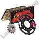 Jt 428 Chain And Jt Sprocket Kit 13 Front 37 Rear For Honda Msx 125 Grom 13-23