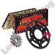 Jt 428 Chain And Jt Sprocket Kit 16 Front 34 Rear For Honda Msx 125 Grom 13-23