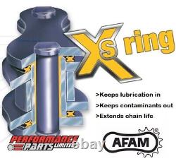 Kit chaîne et pignon AFAM 428 Conversion Gold X-Ring pour Honda MSX125 Grom 13-20
